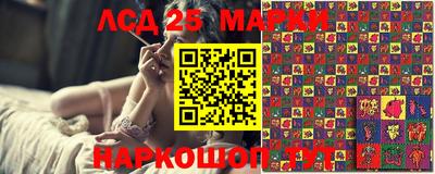 шишки Гай