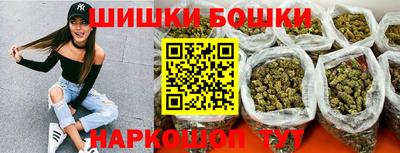 шишки Гай