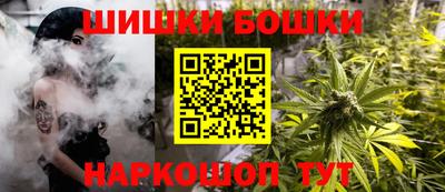 шишки Гай