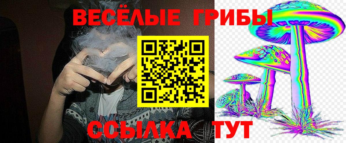 Псилоцибиновые грибы мицелий Мценск